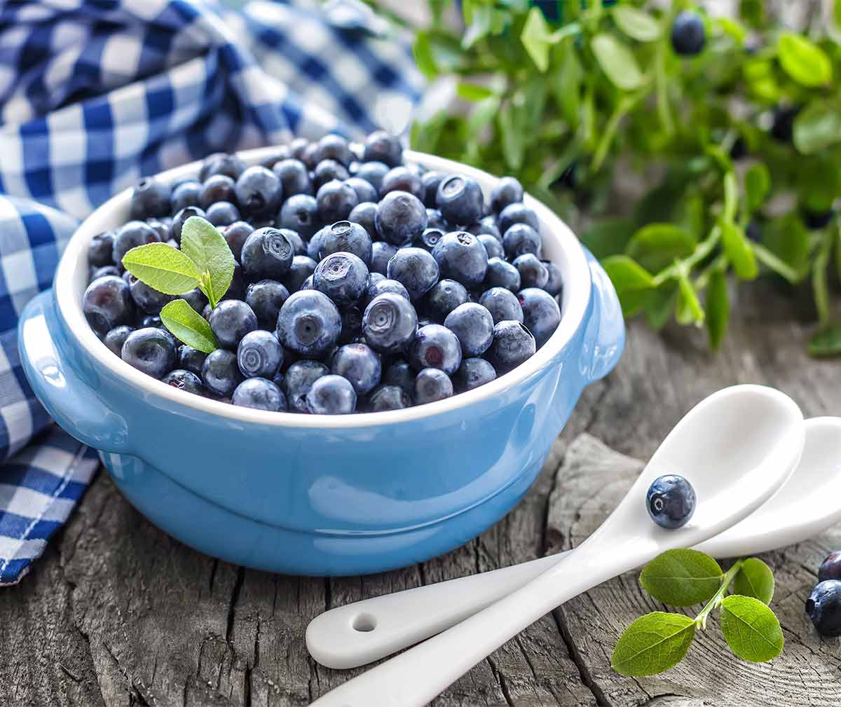 Mustikka - Suomen superfood