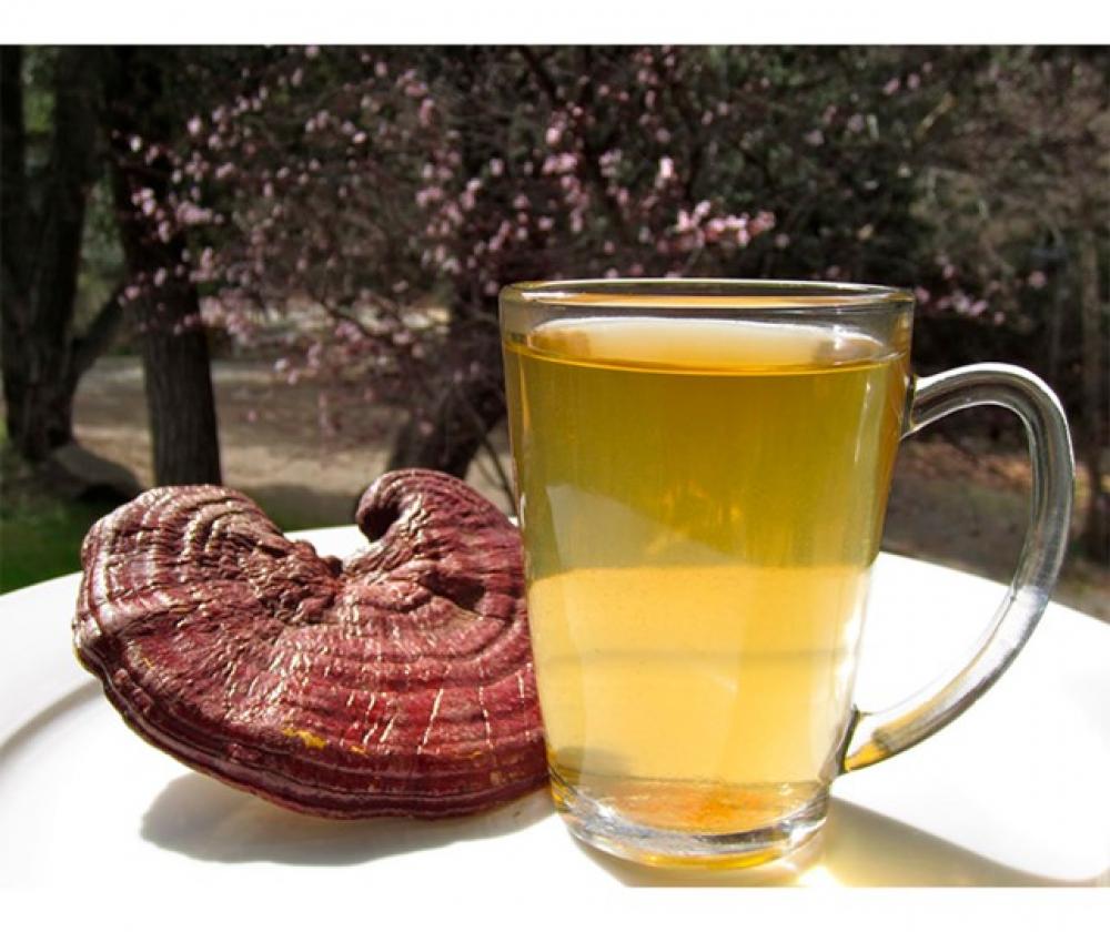 Reishi ja sen hyödyt