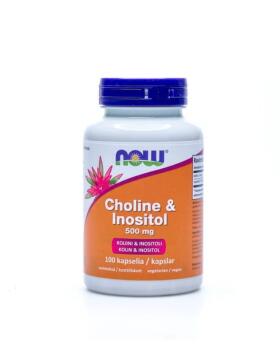 NOW Foods Choline & Inositol 500 mg, 100 kaps.