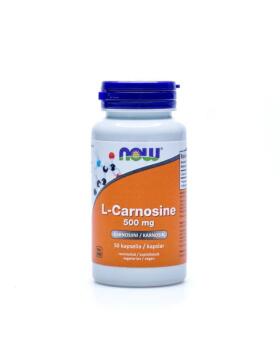 NOW Foods L-Carnosine 500 mg, 50 kaps.
